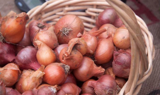 Mẹo chọn và bảo quản hành tím khô, để cả năm không hỏng củ nào