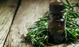 Những thành phần trị mụn hiệu quả trong mỹ phẩm bạn cần biết 