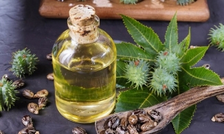 Dầu thầu dầu có hiệu quả để giải quyết các vấn đề về da đầu không?