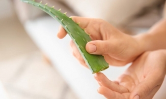 Bật mí cách làm kem chống nắng từ nha đam: Vừa lành, vừa dễ