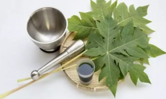 8 công dụng hấp dẫn của nước ép lá đu đủ đối với làn da và sức khỏe