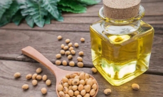 Cách sử dụng dầu đậu nành để mọc tóc hiệu quả