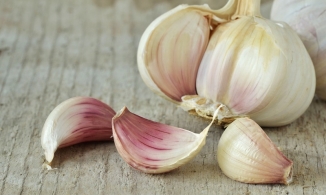 Cách trị mụn bằng tỏi có thực sự hiệu quả không?