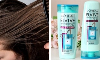 Top 5 loại dầu gội dành cho da dầu bạn không thể bỏ qua