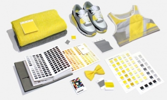 Tại sao Pantone chọn gam màu bị ghét như vàng trở thành màu của năm 2021?