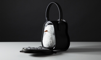 Sau chiếc túi đựng dưa hấu, xuất hiện một chiếc túi có thể mang người tuyết đi khắp nơi. 