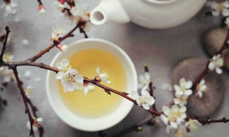 Trà trắng: Thực phẩm nâng tầm nhan sắc