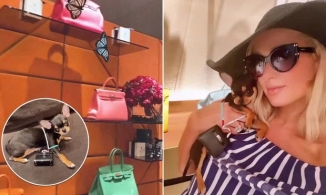 Sướng như chó cưng của Paris Hilton: Chủ nhân của túi hiệu 130 triệu đồng