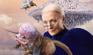 Gentle Monster bán kính râm bé tin hin