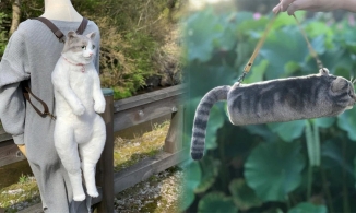 Ba lô, túi xách dành cho hội cuồng mèo 