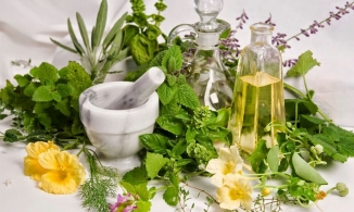 4 thương hiệu mỹ phẩm thuần chay đến từ Việt Nam 