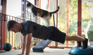 4 bài tập thể dục tại nhà giúp bạn sống qua thời kỳ phòng gym đóng cửa