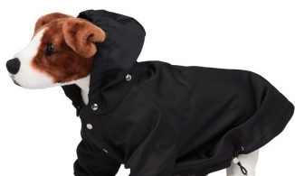 Prada ra mắt áo mưa cho cún cưng có giá gần 12 triệu đồng 