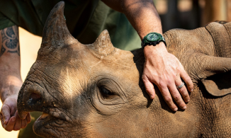 Hublot trích một phần doanh thu bán đồng hồ để ủng hộ quỹ bảo vệ tê giác 