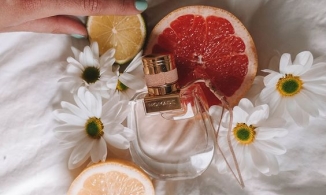 Sự khác biệt giữa Eau de Toilette và Eau de Parfum 
