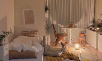 Chuyện gì xảy ra nếu ngủ dưới ánh sáng?