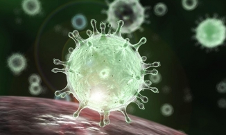 Covid-19 có thể làm ảnh hưởng đến khả năng sinh sản