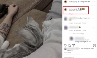 Nghi vấn Sơn Tùng - Thiều Bảo Trâm rạn nứt trước lùm xùm 'trà xanh'