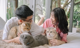 Linh Ngọc Đàm đi du lịch với người yêu cũ để 'nối lại tình xưa'?