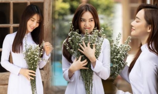 Diễm My, Nhã Phương, Lan Ngọc hóa thân thành thiếu nữ trong áo dài trắng