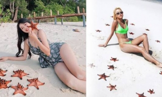 Quỳnh Anh Shyn và An Vy (FapTv) bị chỉ trích vì dùng sao biển sống ảo