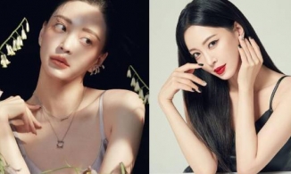 Han Ye Seul tuyên chiến với YouTuber Kim Yong Ho khi tố cô là gái bao