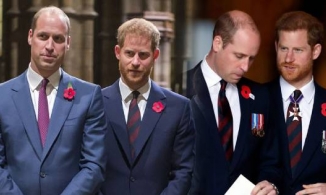 William và Harry không có ý định hàn gắn trước dịp kỷ niệm ngày sinh của mẹ
