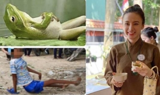 Angela Phương Trinh kể chuyện nhân quả: Bố mẹ bắt nhái, con khuyết tật chân