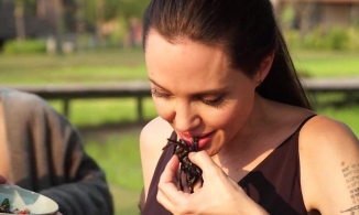 Ăn gián nhện, lười đánh răng và loạt sở thích kỳ quặc của mỹ nhân Hollywood