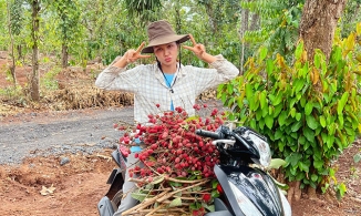 Không thể trở về TP.HCM sau dịp lễ, H'Hen Niê quyết định làm nông dân ở quê