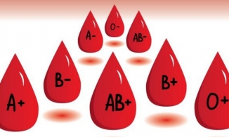Nhóm máu của bạn tiết lộ điều gì về tính cách, giải đáp qua nghiên cứu của chuyên gia Nhật Bản