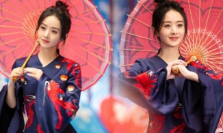 Phòng làm việc của Triệu Lệ Dĩnh bị 'cấm ngôn' 15 ngày