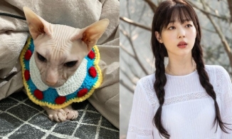 Sau Heechul, Kim Seon Ah là người nhận nuôi mèo của Sulli