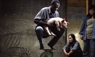 LHP Busan từ chối yêu cầu của Cục Điện ảnh Việt liên quan đếm phim 'Vị'