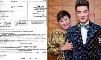 Ý nghĩa câu 'không có tài sản chung' trong đơn ly hôn của vợ Đàm Vĩnh Hưng