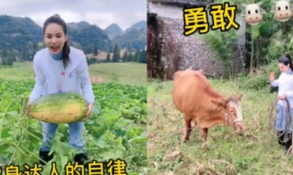 'Tiểu Long Nữ' Lý Nhược Đồng bỏ phố về quê đào khoai, chăn bò