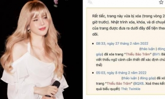 Thiều Bảo Trâm bị 'bay màu' trên Wikipedia