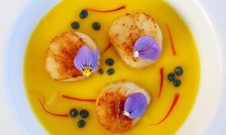 'Dược liệu hạnh phúc' cho sức khỏe: phòng ngừa ung thư và giá trị lên đến trăm triệu đồng/kg