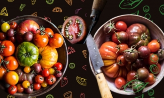 Rộ trend rau quả màu socola, ăn sống như trái cây