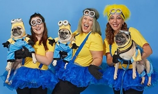 Halloween 2020: Hài hước làm nên điểm nhấn