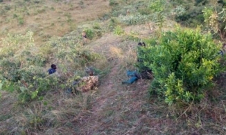 Đông Phi: Hơn 200 tù nhân đã khỏa thân để vượt ngục