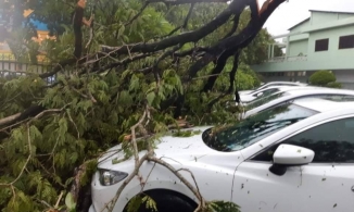 Bão số 5 khiến 1 người tử vong, 23 người bị thương nặng