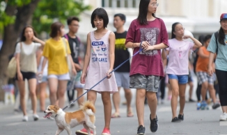 Hà Nội đề xuất mặc trang phục lịch sự và không dắt chó mèo đến phố đi bộ