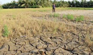 Hạn hán ở ĐBSCL khốc liệt chưa từng có trong lịch sử