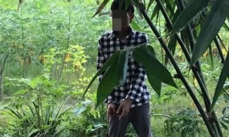 Bình Định: Bắt giữ thanh niên 21 tuổi giở trò đồi bại với bé gái 8 tuổi 