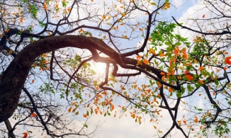 Thời tiết ngày 7/10: Bắc Bộ trời hửng nắng, miền Trung mưa lớn