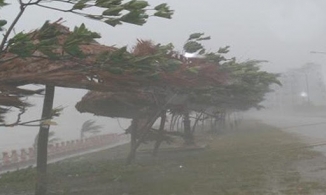 Hướng di chuyển và khu vực ảnh hưởng của cơn bão số 8 Saudel khó lường