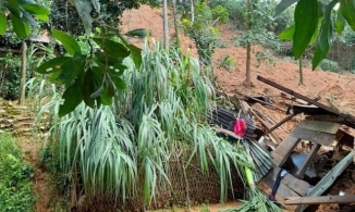 3 đứa trẻ bơ vơ khi cha mẹ đều chết trong vụ sạt lở đất ở Trà Vân