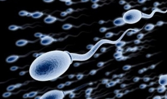 Đàn ông ngày càng ít tinh trùng