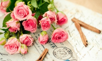 Những lời chúc hay và ý nghĩa nhất dành tặng thầy cô giáo ngày 20/11